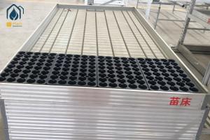 Quality Commercial Ebb And Flow Rolling Benches Hydroponics Greenhouse Growing Trays wholesale