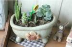 Succulent Creative Sun Flower Bathtub Plant Flowerpots