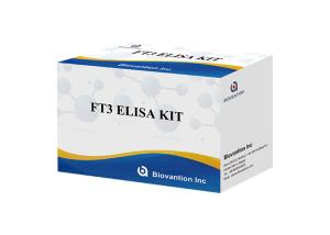 Quality FT3 Elisa Test Kit 110 Minutes Free Triiodothyronine T3 Free Blood Test wholesale