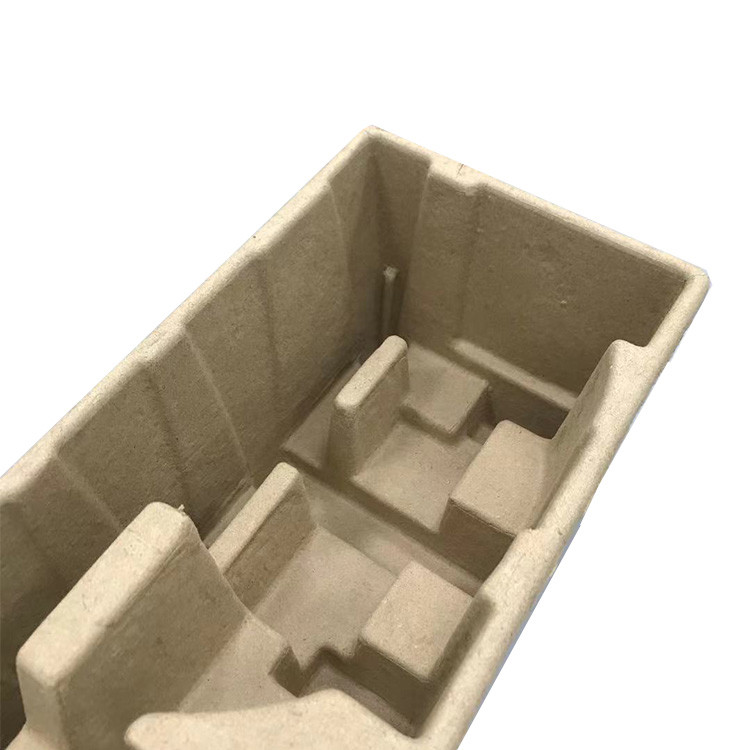 SGS Bagasse Paper Tray Packaging Eco Friendly OEM Acceptable