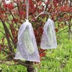 53*94cm Non Woven Mesh Net Bag for Mango Fruit Protection in Industrial