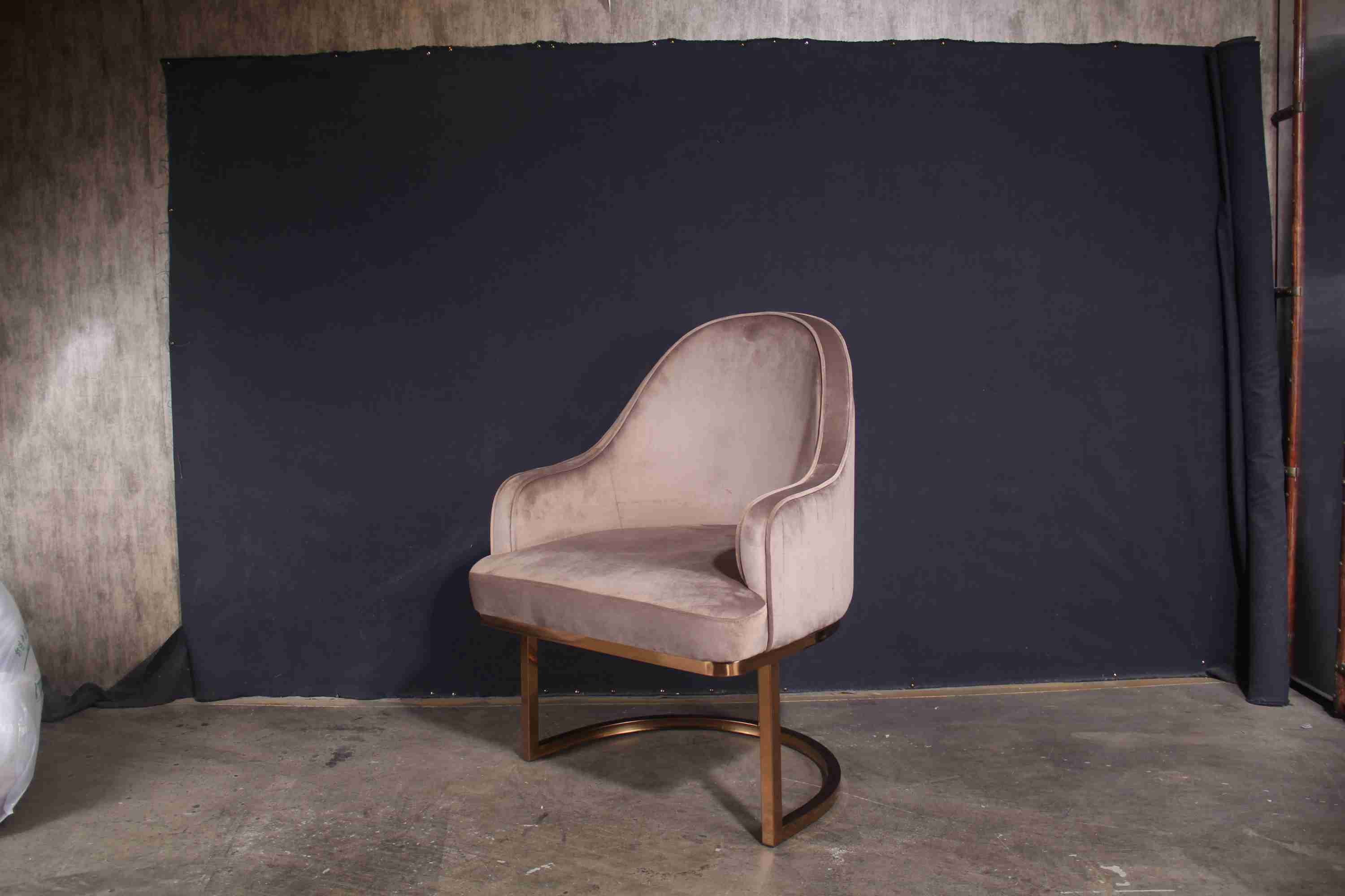 Nordic Low Back Padded Dining Chairs Ins Style Coffee Modern Luxury Restaurant Chairs Leather