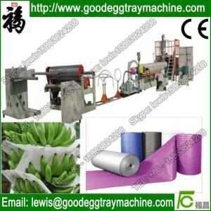 Quality Location fix pacakge EPE Foam Sheet Extrusion Plant(FCFPM-170) wholesale