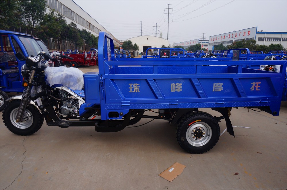 0.38T Motorized Adult Tricycle