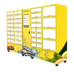 Customized Locker Size Cake Meat Flower Seafood Refrigerated Cabinet Vending