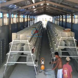 Quality Customized Steel Structure Poultry House Fire Resistant For Dairy Farm wholesale