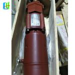 Jichai Engine Parts Fuel Injection Pump for Press Z12V190B at Competitive