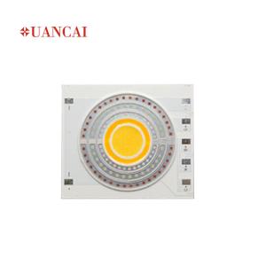 Quality 4046 RGB COB LED wholesale