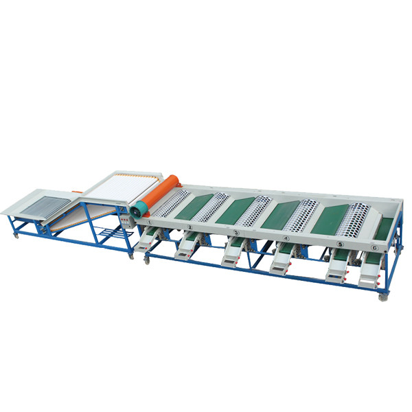 8 Tons One Hour 6 Levels Automatic Garlic Fruit Grading Machine By Size