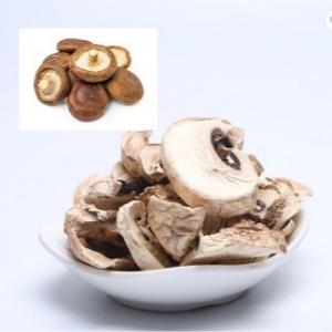 Quality 10x10mm Brown Japanese Dry Shiitake Mushroom Cultivation Bag Bulk wholesale