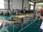 Full Automatic Potato Chips Production Line