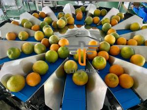 Quality Oranges Food Grade 5.0L 14 Head Multihead Weigher wholesale