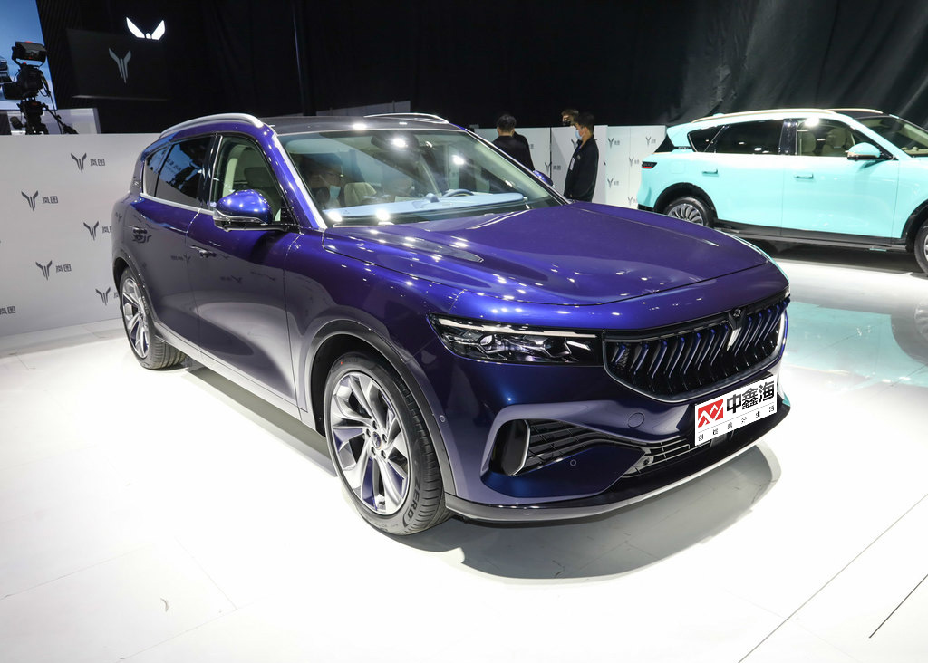 2021 Energy 5 seat Electric Adult VOYAH FREE 2021 two-wheel drive pure electric version cheap electric car made in china