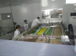 Stained Glass Kitchen Flat Shape Glass Printing Interior Door in 6mm Hollow