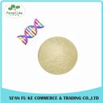 Excellent Quality Acid Proteinase / Acidic Protease Powder