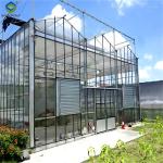 Anti Reflective Automatic Venlo Glass Greenhouse With Agricultural Farming