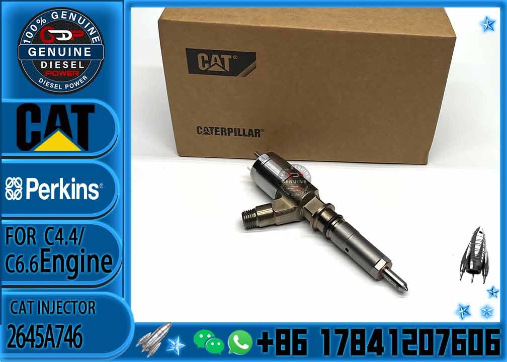 Common Rail Injector 2645A746 10R-7672 2645A718 10R-7673 10R-7676 2645A734 10R-7674 10R-7668 10R-7938