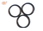 Weathering Resistant Black FKM FPM Automotive Rubber Seals ISO9001