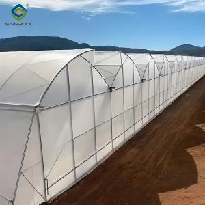 Quality Galvanized Steel Frame Greenhouse multi span greenhouse Film Covering Space Efficient wholesale