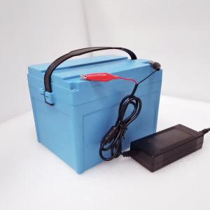 Quality 60Ah 12 Volt Automotive Battery AGV Lithium Battery wholesale