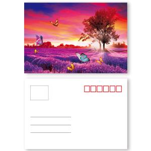 Quality Dinosaur Design 3D Lenticular Postcard 3D Souvenir For Museum wholesale