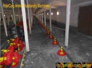Quality Poultry Pan Automatic Auger Feeding System wholesale