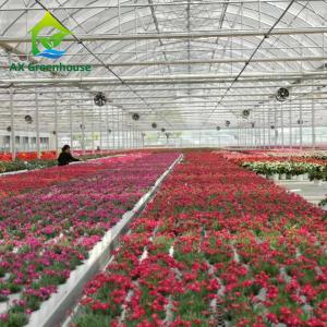 Quality Hot Dip Galvanized Steel Plastic Film Greenhouse 3-8m Gutter Four Seasons Greenhouse wholesale