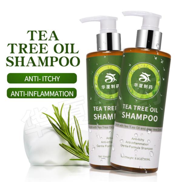 Natural Organic Anti Inflammation Anti Hair Loss Beauty Hair Shampoo Tea Tree
