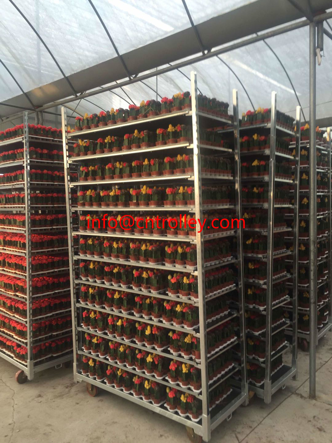 Powder Coated Ez Racks 1900mm Plywood Danish Container