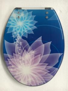 Quality inner paper design tranparent polyresin toilet seat with Zinc alloy hinge wholesale