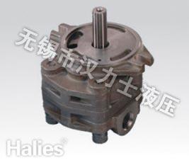 Quality Hydraulic Gear Pump SVD22 wholesale