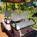 4 Seater Electric Golf Cart Pink Outdoor Theme Park New Design Off-road
