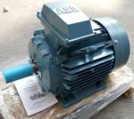 ABB Motor M2QA 180L Industrial Electric 3 Phase Motors With IP55 Protection