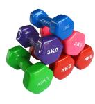 Thin Arm Dip Plastic Dumbbells 5kg Eco Friendly 2kg Ladies Dumbbells