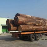 Irregular Texture Engineered Decowood Veneer For Hotel Decoration 2500*640mm