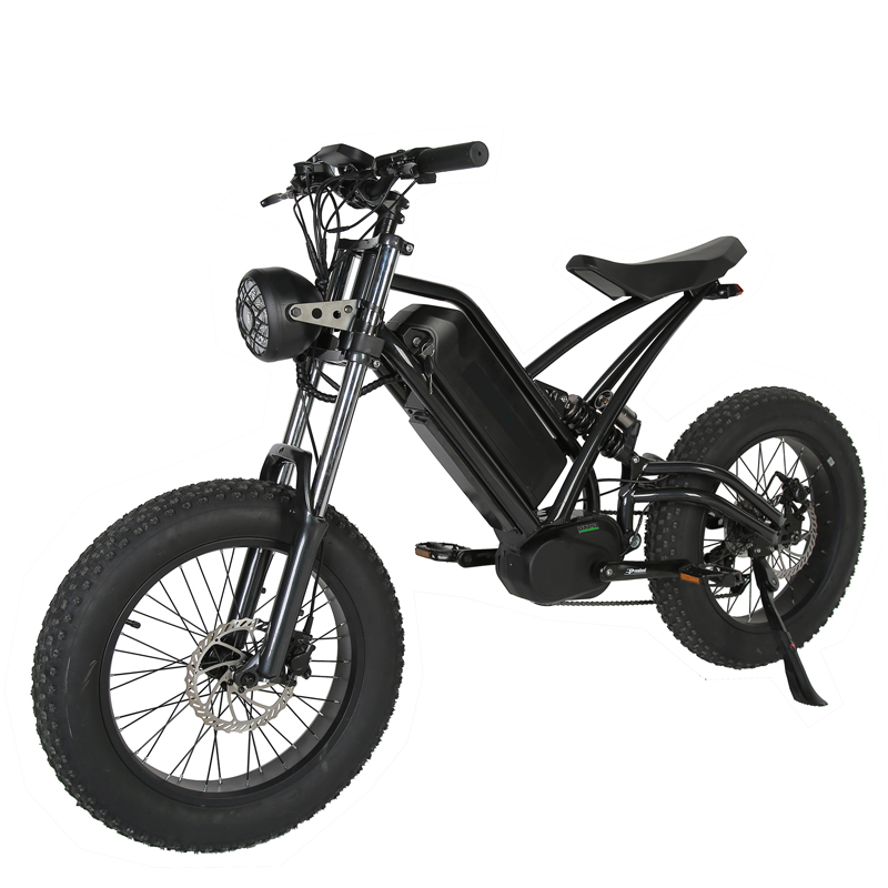 Customized Vintage Electric Bike with Lithium Battery 48V 750W Mid Drive Motor E-Bike
