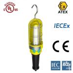 Zone 1 IP68 LED Flood Light