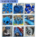ODM Support F4 GGG50 PN10/PN16 Cast Iron Gate Valve with Bronze Seal and Metal