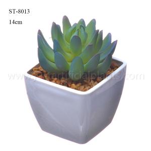 Quality Natural Looking Artificial Succulents Plastic Potted Table Plant Ornamental wholesale
