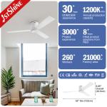 Remote Control 52 Inch 5-Speed White MDF Blades Ceiling Fan for Grade Decoration