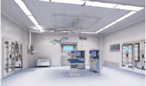 Quality Hospitals Clean Room Compressed Fibre Cement Board 12mm Non Combustible wholesale