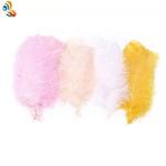Ostrich Feather for Millinery Supplies EMS Shipping Party and Carnival