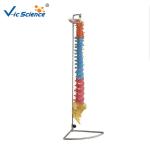 Didactic Vertebral Column PVC Anatomical Skeleton Model