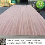 sapele plywood