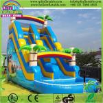 Custom Made Inflatable Slide for Sale
