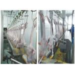 CE Certificated Poultry Slaughtering Equipment Duck Poultry Slaughter Line 600KG
