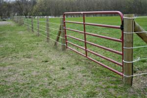 Quality Gate 5 Bar 16' (4800mm) - Farm Field Brisbane Pick up wholesale