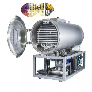 Quality 45kw Industrial Freeze Dryer Machine SS304 Fruit Freeze Drying Machine wholesale