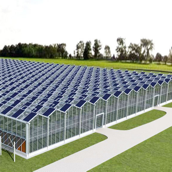 Commercial Venlo Polycarbonate PC Sheet Greenhouse Multi Span Drying House For Flowers
