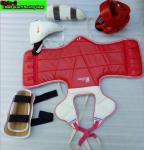 Competitive Price Martial Arts Head Guard Taekwondo Sparring Boxing Helmet Soft